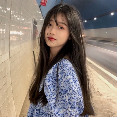 驯龙骑士