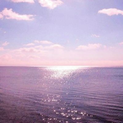 伪装者：末日浩劫