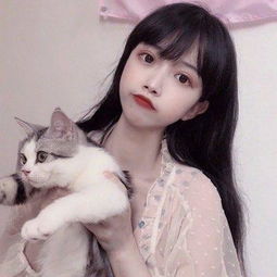 超神联盟
