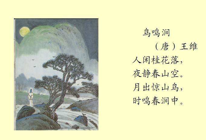成人网免费官方版亮点