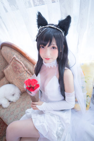 愤怒的小鸟泡泡大战